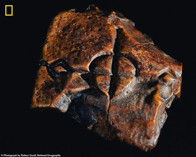 Từ đây, bí mật về vụ mất tích của con tàu Santo Cristo de Burgos được làm sáng tỏ.