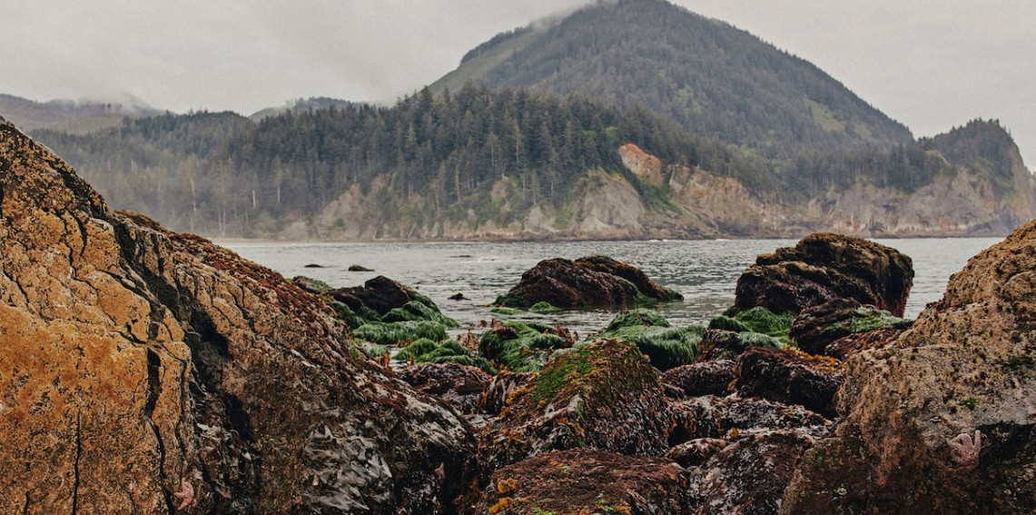 Kể từ đó, các chuyên gia nhanh chóng tìm kiếm xác tàu Santo Cristo de Burgo ở trong hang động trên. Dù tìm được một số mảnh gỗ của xác tàu nhưng các nhà khoa học cho rằng chúng bị cuốn khá xa khỏi vị trí gặp nạn. Do vậy, họ tiếp tục giải mã bí ẩn về vụ mất tích của tàu Santo Cristo de Burgo.
