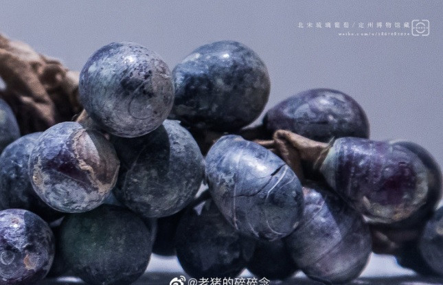 Thế nhưng, hiện các chuyên gia chưa biết người xưa tạo ra chùm nho bằng pha lê này với mục đích gì. Để tìm ra lời giải, họ nỗ lực tìm kiếm các sử liệu, ghi chép và các manh mối nhằm giải mã bí ẩn liên quan đến cổ vật này.