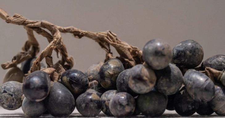 Trong số các hiện vật được tìm thấy bên trong địa cung, các chuyên gia vô cùng bất ngờ khi phát hiện một chùm nho lưu ly hơn 1.000 tuổi. Nó có niên đại vào thời Bắc Tống và được làm từ thủy tinh chì (pha lê) - một loại vật liệu đắt tiền thời điểm đó.