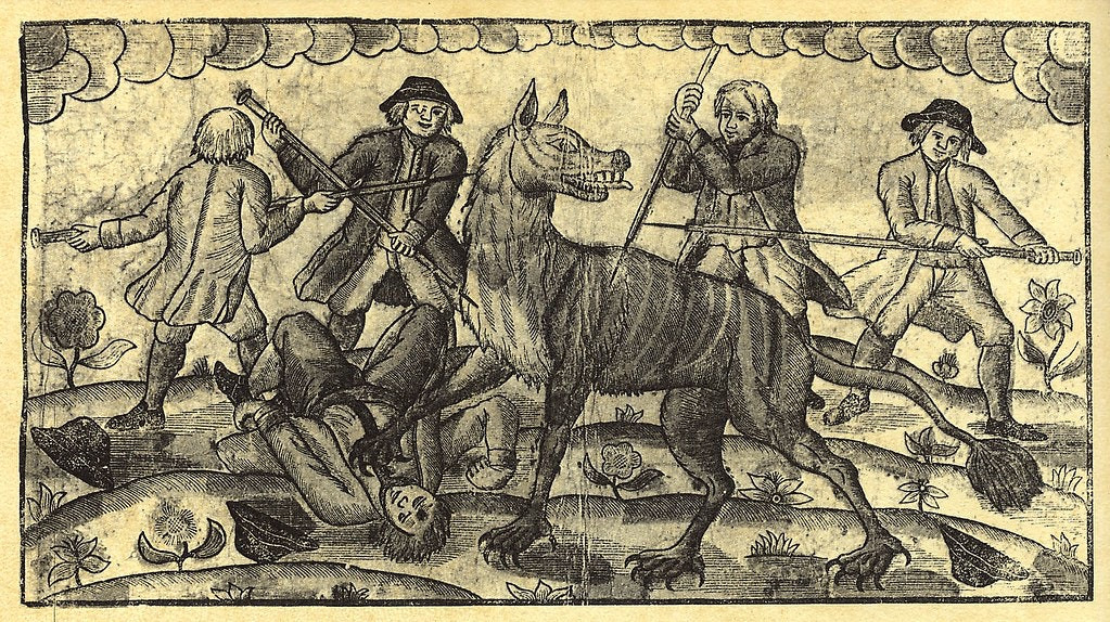 Phải tới ngày 19/6/1767, thợ săn địa phương có tên Jean Chastel bắn chết một con thú lớn. Con vật này có hình dáng giống sói nhưng phần đầu kỳ dị và bộ lông gồm 3 màu: đỏ, trắng, xám.