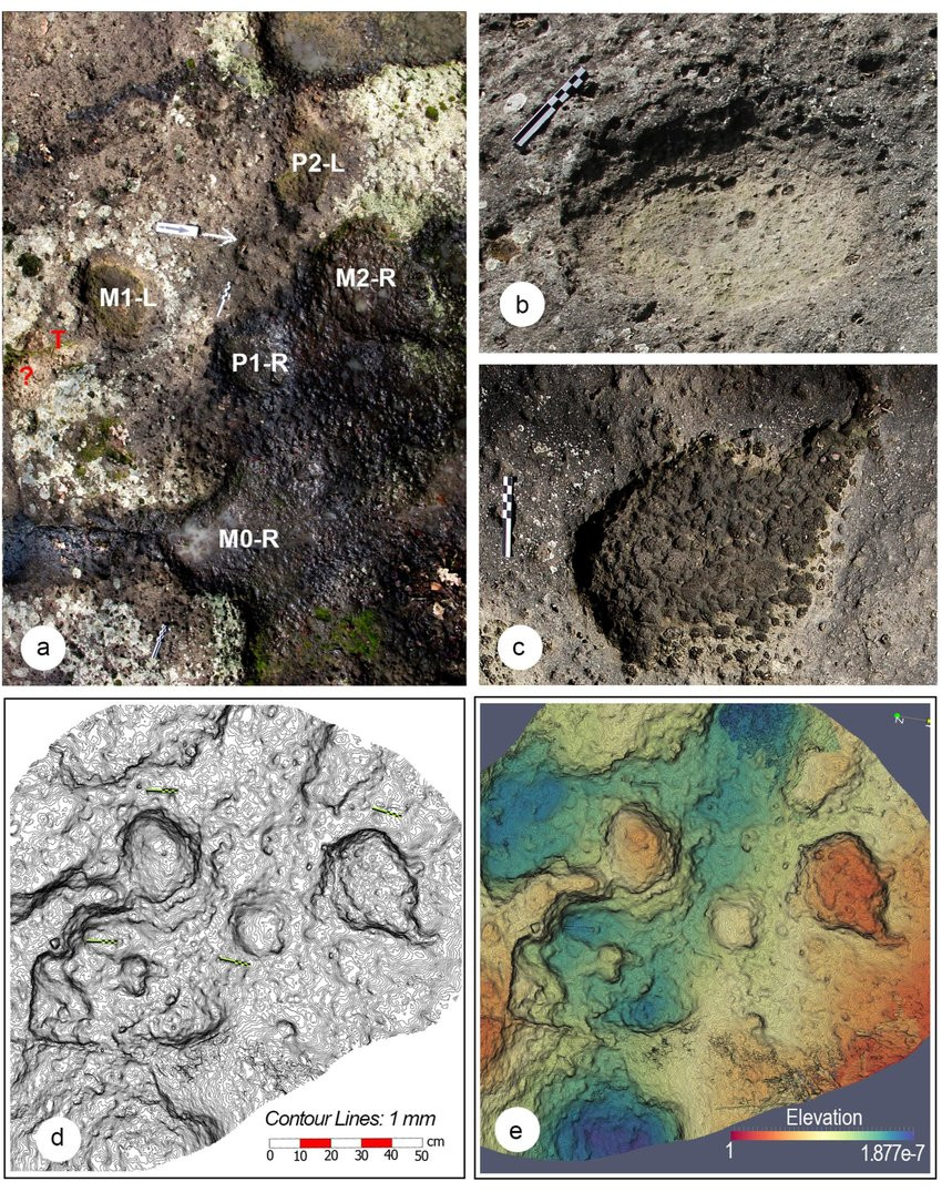 Tuy nhiên, các nhà khảo cổ xác định những dấu chân đó có thể là dấu vết đã có từ khoảng 350.000 năm trước do một giống vượn người hai chân để lại. Họ chưa thể giải mã vì sao lại có những dấu chân người ở trên miệng núi lửa.