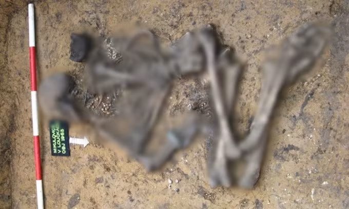 Người phụ nữ này được chôn cất trong mộ cổ với 5 chiếc vòng tay đồng, 2 khuyên tai vàng, vòng cổ 3 sợi xâu hơn 400 hạt hổ phách và 3 chiếc kim khâu bằng đồng.