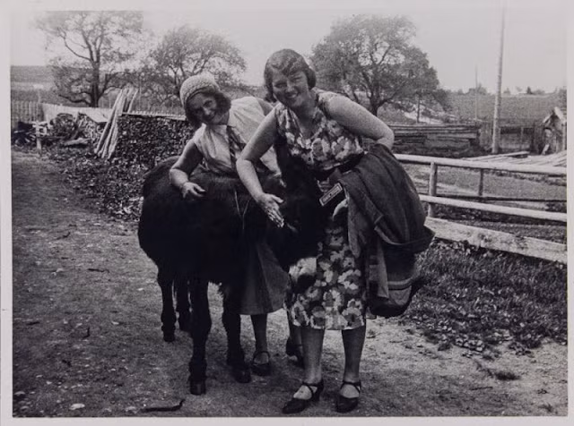 Tuy nhiên, một giả thuyết cho rằng có thể Hitler sai người giết cháu gái vì Geli Raubal dọa công khai mối tình loạn luân của mình với truyền thông. Để ngăn chặn scandal nổ ra sẽ ảnh hưởng xấu đến hình ảnh và sự nghiệp, Hitler thủ tiêu cháu gái và ngụy tạo bằng chứng thành vụ tự tử.