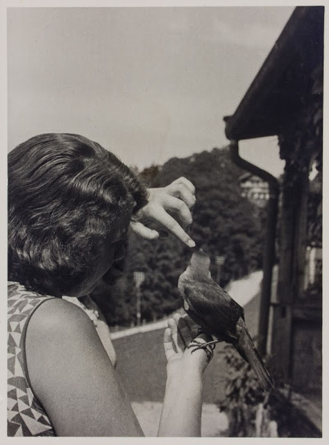 Sau một thời gian ở chung nhà, Geli Raubal và Hitler nảy sinh tình cảm và bắt đầu mối quan hệ loạn luân.