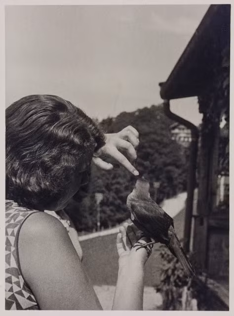 Sau một thời gian ở chung nhà, Geli Raubal và Hitler nảy sinh tình cảm và bắt đầu mối quan hệ loạn luân.