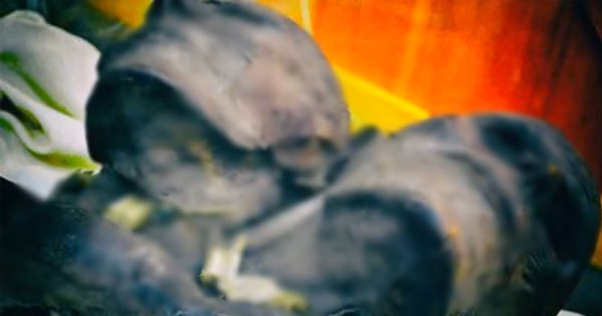 Xác ướp Kap Dwa gây kinh ngạc khi có tới 2 cái đầu và sử hữu chiều cao lên tới 3,66m. Người này chết trong một trận chiến với người Tây Ban Nha.