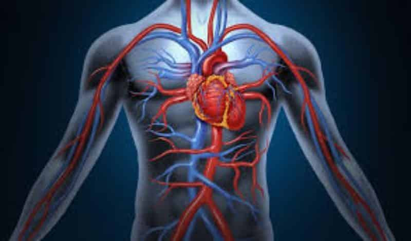 Dân gian Trung Quốc lưu truyền thông tin rằng, sau 1 năm tập Dịch cân kinh, sức khỏe thể chất và tinh thần của một người sẽ tăng lên. Đến năm thứ hai, lưu thông máu được cải thiện. Sang năm thứ 3 tập Dịch cân kinh, cơ bắp linh hoạt, mọi bộ phận được nuôi dưỡng tốt hơn.