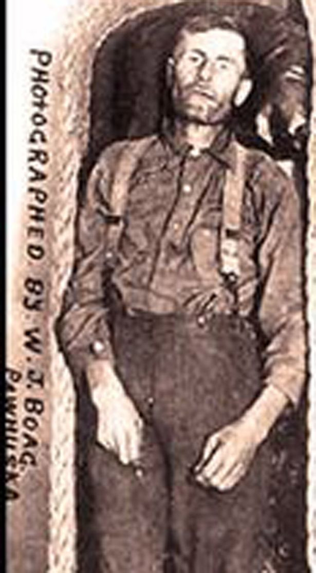 Cảnh sát điều tra manh mối này và phát hiện bảo tàng trên đã không còn tồn tại. Tuy nhiên, con trai của người từng sở hữu bảo tàng này cho hay cha mình - ông Louis Sonney đã mua xác ướp của tên trộm Elmer McCurdy rồi đem trưng bày. Du khách muốn chiêm ngưỡng xác ướp Elmer McCurdy khi tới bo tàng Tội ác của Louis Sonney phải bỏ ra 25 xu.