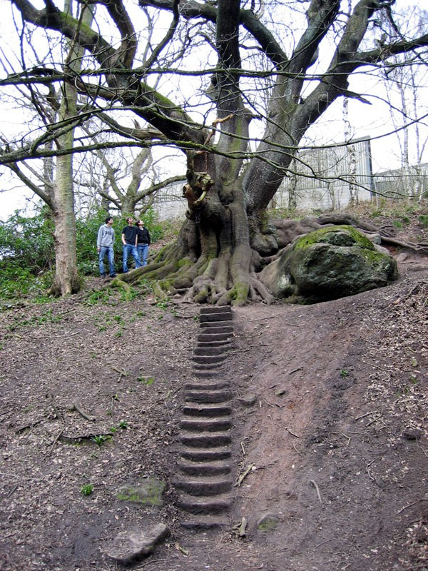 Người phụ nữ cầu xin bá tước Shrewsbury cho vài đồng tiền lẻ. Tuy nhiên, bác tước Shrewsbury không cho tiền người ăn xin. Thậm chí, ông còn nói những điều khó nghe để xua đuổi người phụ nữ ăn mặc rách rưới, bẩn thỉu.