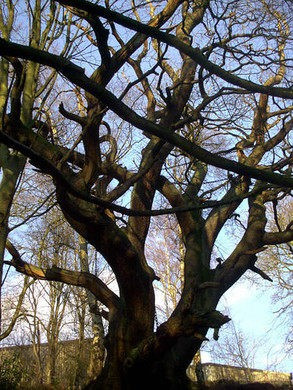 Đây chỉ là giai thoại được lưu truyền trong dân gian. Đến nay, các nhà nghiên cứu vẫn chưa tìm được bằng chứng xác thực thông tin về vụ việc bí ẩn này.