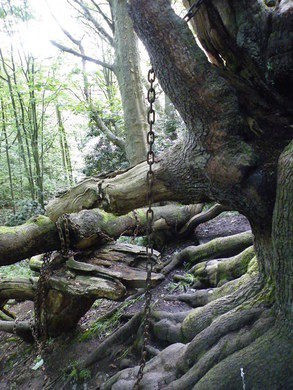 Trước cái chết của thành viên trong gia đình, bá tước Shrewsbury lo lắng, sợ hãi vì nghĩ rằng "lời nguyền" của người ăn xin đã bắt đầu ứng nghiệm.