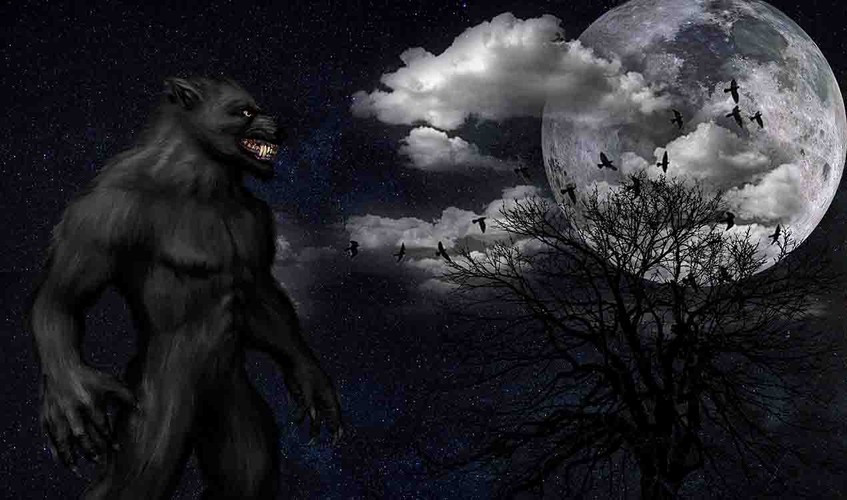 Đúng như dự đoán của Vua Lycaon, người khách đó chính là thần Jupiter. Tức giận vì hành vi độc ác và bất kính của nhà vua, thần Jupiter trừng phạt ông bằng cách biến ông thành sói.