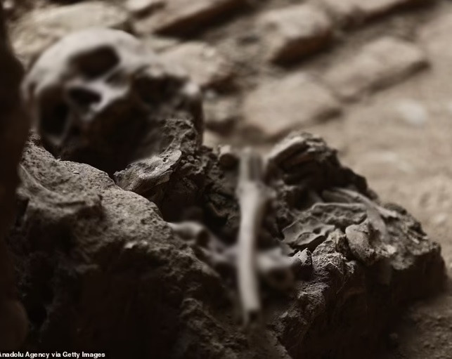 Theo trưởng nhóm khai quật Luis Martín Bogdanovich, địa điểm mới phát hiện 42 bộ hài cốt là nghĩa trang lâu đời nhất và được bảo tồn tốt nhất ở Lima.