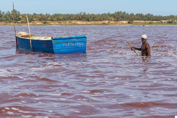 Hàng ngày, người dân thường ngâm mình dưới hồ Retba khoảng 7 tiếng để thu hoạch muối bằng những công cụ đơn sơ.