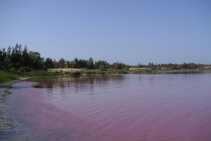 Các chuyên gia cũng phát hiện hồ Retba có hàm lượng muối cao gấp 40% độ mặn trung bình của các đại dương.