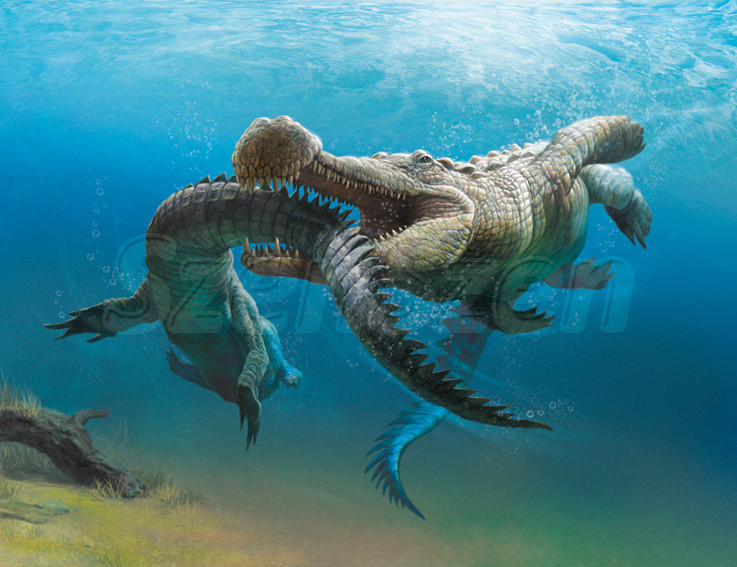 Nó có thể tấn công và nuốt chửng những con mồi to lớn ở cả dưới nước lẫn trên cạn chỉ trong khoảng thời gian ngắn như các loài cá, rùa khổng lồ...