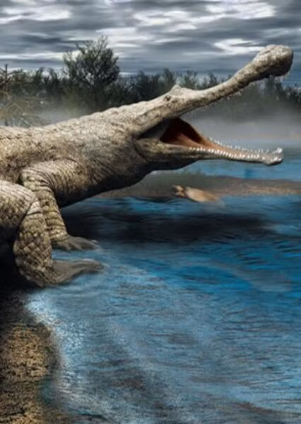 Mặc dù khủng long cũng có cơ thể to lớn không kém Sarcosuchus nhưng khi 2 loài này đối đầu với nhau thì có sự cách biệt lớn.