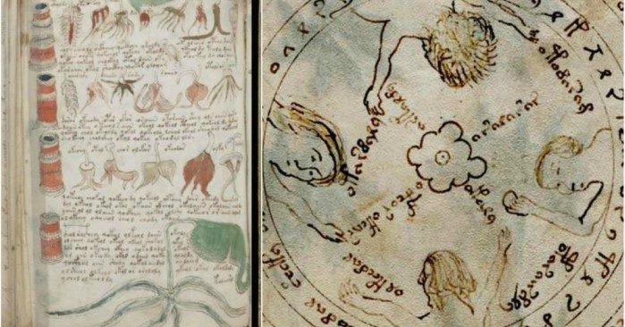 Theo các nhà nghiên cứu, bản thảo Voynich do các nữ tu Dominican thực hiện theo yêu cầu từ nữ hoàng Maria xứ Castille - cô của nữ hoàng Anh Catherine.