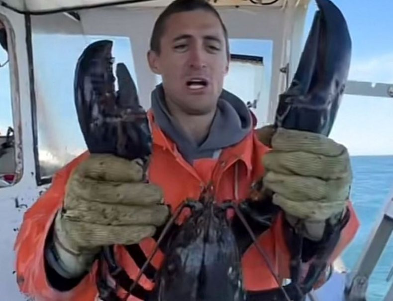 Theo ngư dân Knowles, con tôm hùm dù hơn 100 tuổi nhưng vẫn ở tình trạng sức khỏe tốt. Thêm nữa, nó đã lớn quá mức cho phép đánh bắt vào khoảng 5 năm trước.