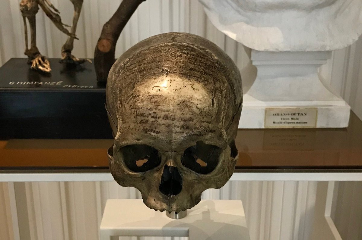 Về sau, cơ quan chức năng đã tìm cách thuyết phục ông trùm trên bán lại ông hộp sọ của Descartes. Nhờ vậy, nó được chuyển về Pháp. Tại đây, các chuyên gia kiểm tra và nhận thấy trên trán hộp sọ có dòng chữ: "Hộp sọ của Descartes, lấy được bởi J. Fr. Planström, năm 1666, vào thời điểm thi hài được trao trả cho Pháp".