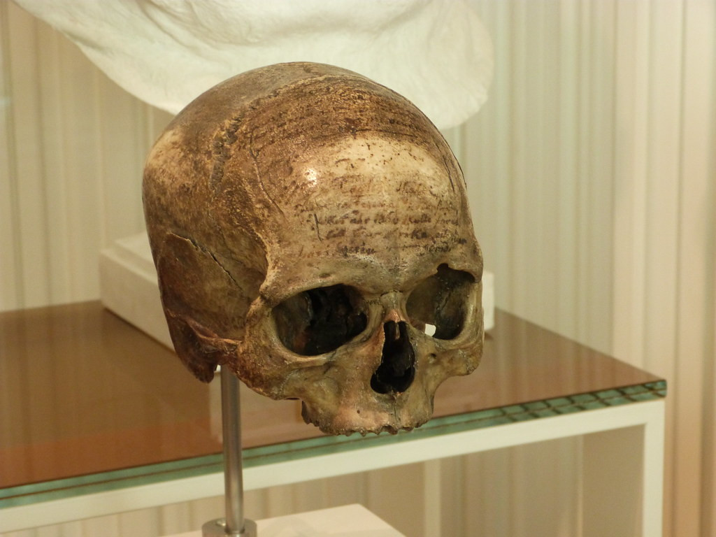 Lợi dụng công việc của mình, Planström đánh cắp hộp sọ để bán lấy tiền trả nợ. Từ đây, hộp sọ của Descartes qua tay nhiều người.