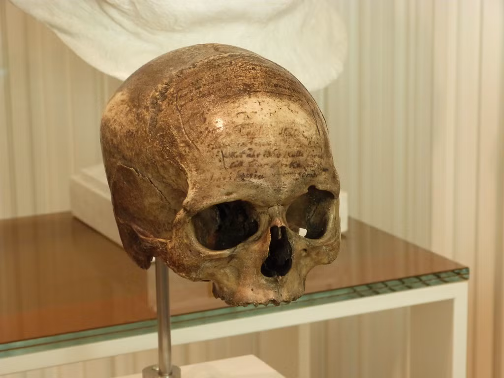 Lợi dụng công việc của mình, Planström đánh cắp hộp sọ để bán lấy tiền trả nợ. Từ đây, hộp sọ của Descartes qua tay nhiều người.