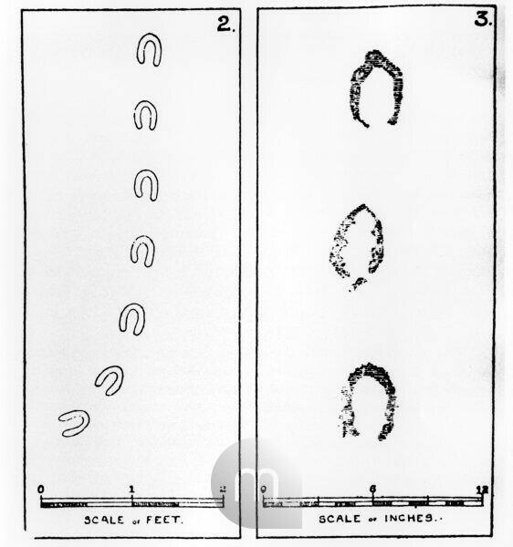 Tuy nhiên, một quan điểm khác cho rằng có thể một người nào đó đã cố tình tạo ra những dấu chân đó để trêu ghẹo mọi người. Đây chỉ là giả thuyết. Đến nay, những dấu chân đó vẫn là bí ẩn lớn đối với nhân loại.