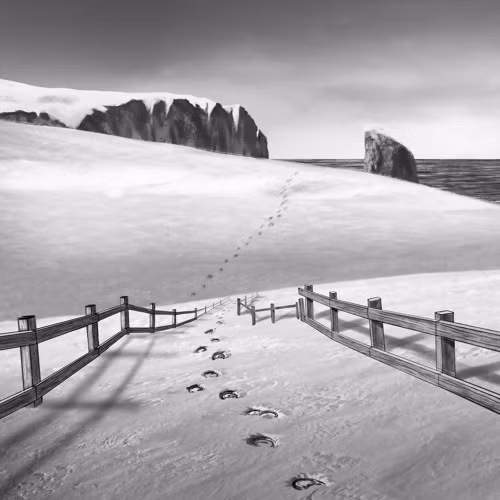 Căn cứ vào các dấu vết tại hiện trường, các nhà điều tra nhận thấy các chân của sinh vật này đi trên một đường thẳng. Họ suy đoán đó là sinh vật có 2 chân.