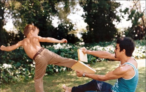 Cái chết của cha con Lý Tiểu Long - Lý Quốc Hào đều xảy ra hết sức đột ngột. Khi nhìn vào những con số liên quan đến cái chết của 2 người, các nhà nghiên cứu nhận thấy đều có sự xuất hiện của con số 3 định mệnh.