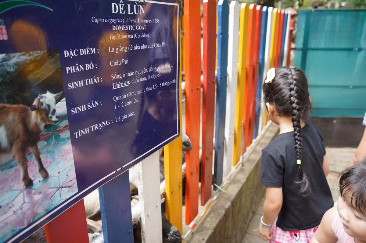 TPHCM: Hang ngan nguoi dan do ve khu trung tam vui choi Tet Duong lich 2025-Hinh-5