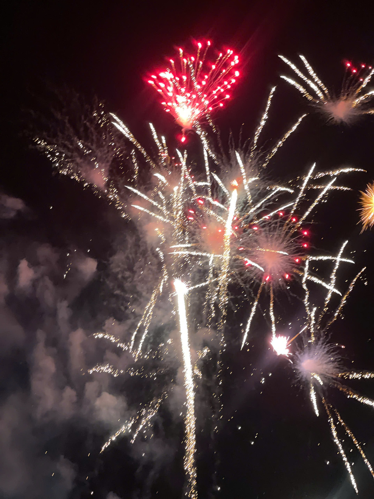 [LIVE] Nguoi dan ca nuoc han hoan chao xuan At Ty-Hinh-18