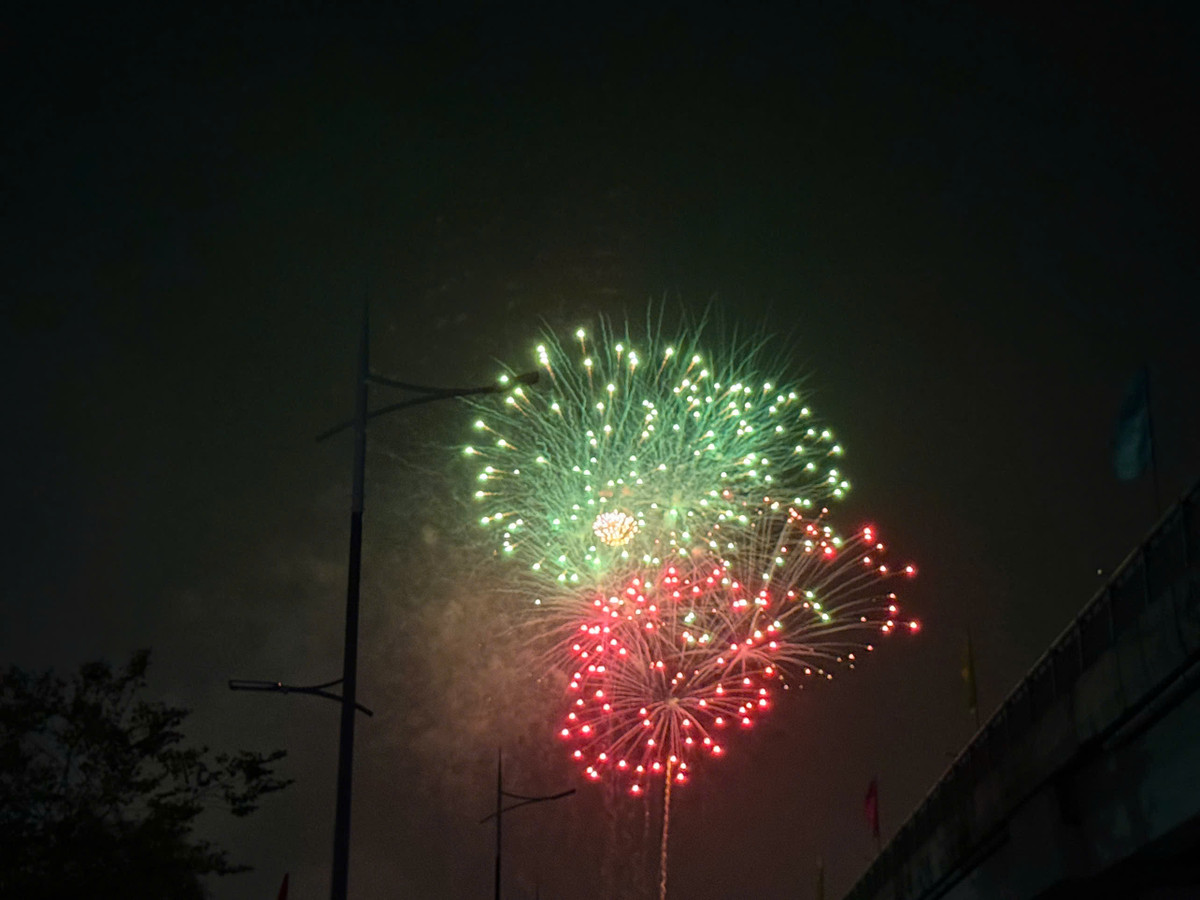 [LIVE] Nguoi dan ca nuoc han hoan chao xuan At Ty-Hinh-14