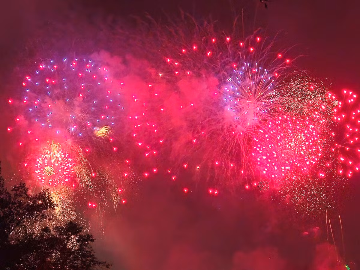 [LIVE] Nguoi dan ca nuoc han hoan chao xuan At Ty-Hinh-5