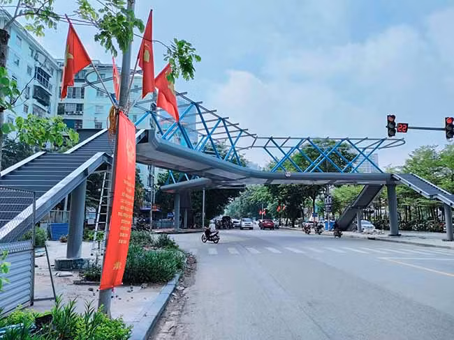 Chiem nguong cay cau chu Y doc nhat Ha Noi-Hinh-2