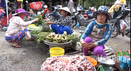 Thuc tu 2 gio sang di “san” san vat mua nuoc noi-Hinh-14