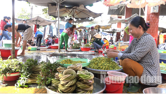 Thuc tu 2 gio sang di “san” san vat mua nuoc noi-Hinh-16