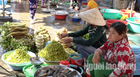 Thuc tu 2 gio sang di “san” san vat mua nuoc noi-Hinh-15