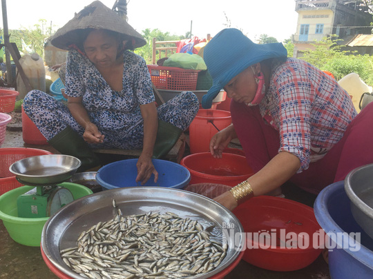 Thuc tu 2 gio sang di “san” san vat mua nuoc noi-Hinh-4