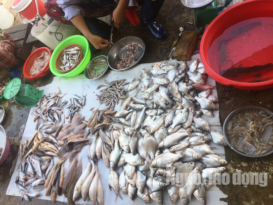 Thuc tu 2 gio sang di “san” san vat mua nuoc noi-Hinh-13