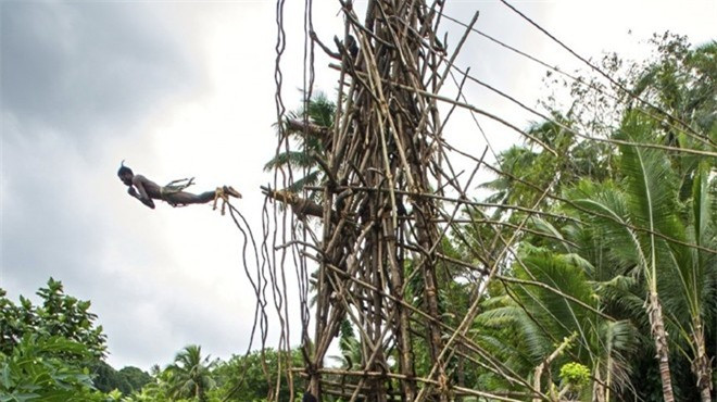 Nhảy bungee bằng dây rừng: Các nam thiếu niên của bộ tộc Vanuatu sống ở đảo Pentecost phải thực hiện nghi lễ nhảy từ tháp cao 30 m xuống đất chỉ với một sợ dây rừng cột vào chân. Họ càng xuống sát mặt đất thì càng được đánh giá cao. Không ít người đã bị thương nặng, thậm chí là thiệt mạng sau nghi lễ trưởng thành đáng sợ này.