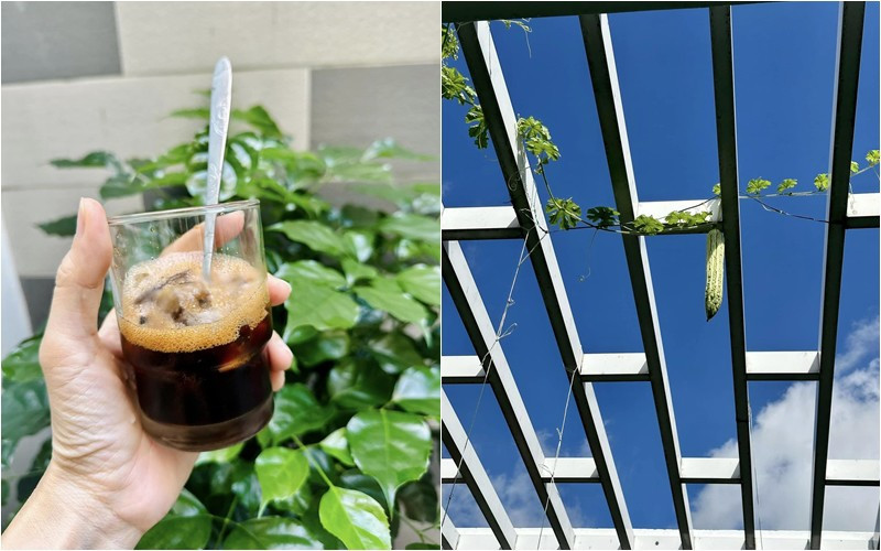 MC Thanh Thảo hay được biết đến với biệt danh Thanh Thảo Hugo từng gây tiếng vang với loạt chương trình truyền hình nổi tiếng một thời như Vui Cùng Hugo, Vietnam Idol, Nhịp Cầu Âm Nhạc, Con Đã Lớn Khôn,...