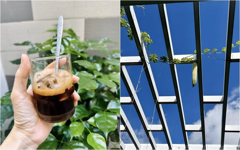 MC Thanh Thảo hay được biết đến với biệt danh Thanh Thảo Hugo từng gây tiếng vang với loạt chương trình truyền hình nổi tiếng một thời như Vui Cùng Hugo, Vietnam Idol, Nhịp Cầu Âm Nhạc, Con Đã Lớn Khôn,...