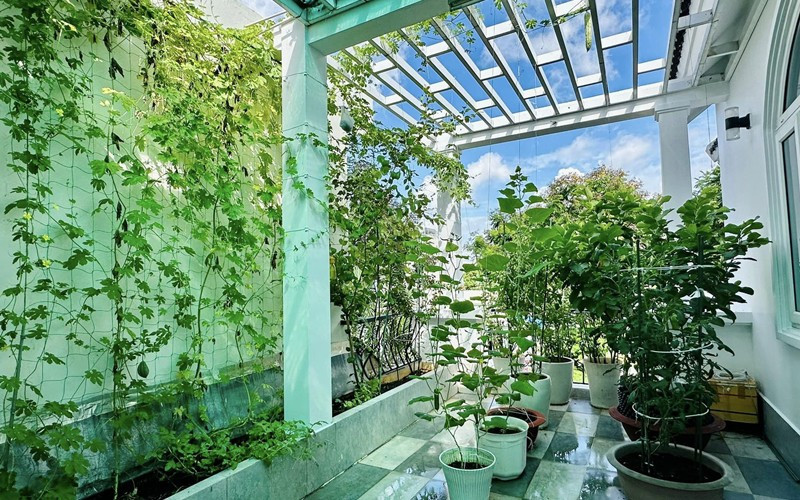 Nữ MC cũng là người yêu thích cây cối nên cô dành hẳn một tầng sân thượng để thực hiện niềm đam mê này.