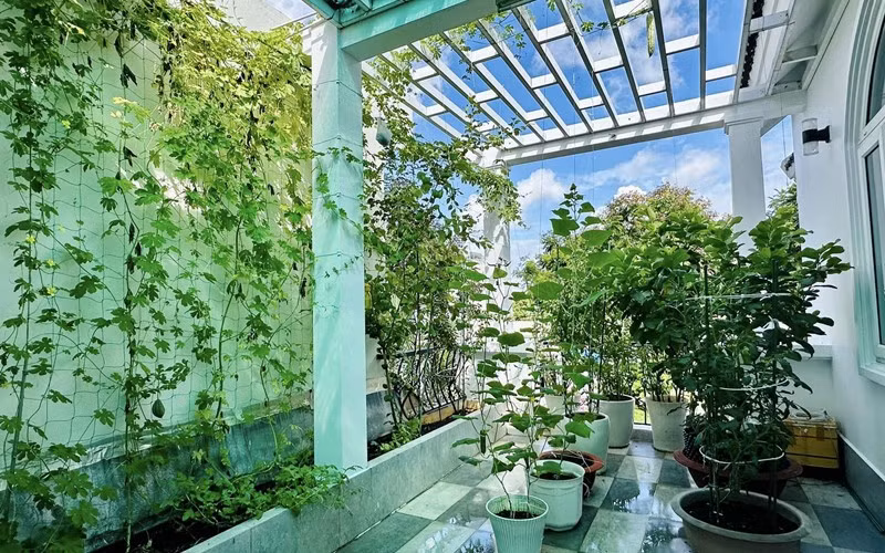 Nữ MC cũng là người yêu thích cây cối nên cô dành hẳn một tầng sân thượng để thực hiện niềm đam mê này.