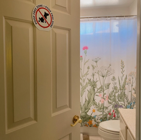 Phòng tắm nhỏ được Jenny tiết lộ , cô nàng trang trí hoa lá cành rất nữ tính. Ảnh: Tổng hợp