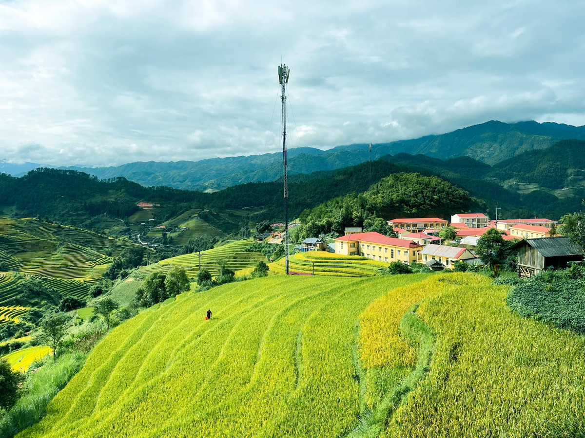 Sau khi đặt chân đến Mù Cang Chải du khách thường lựa chọn thuê xe máy để di chuyển. Thuê xe máy giúp du khách di chuyển giữa các điểm tham quan, đồng thời khám phá được trọn vẹn vẻ đẹp nơi đây. Ở Mù Cang Chải có nhiều địa điểm cho thuê xe máy với giá dao động từ 100.000 đến 200.000 đồng/ ngày. Ảnh: Riri Phương Trinh