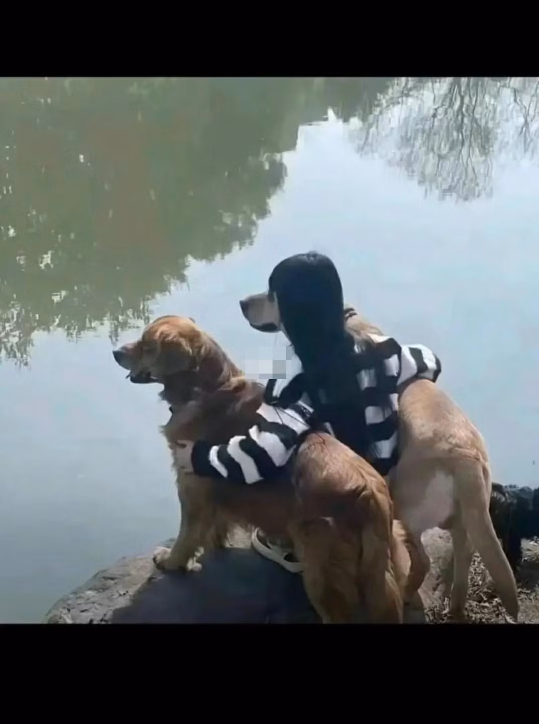 Vốn dĩ phái nữ luôn kỹ tính, chụp hàng trăm cái ảnh mới chọn được 1, 2 bức tạm ưng ý. Thế mà còn va phải cánh mày râu không biết căn góc, chụp sao cho đẹp và vô tình tạo nên bức ảnh của thảm họa.