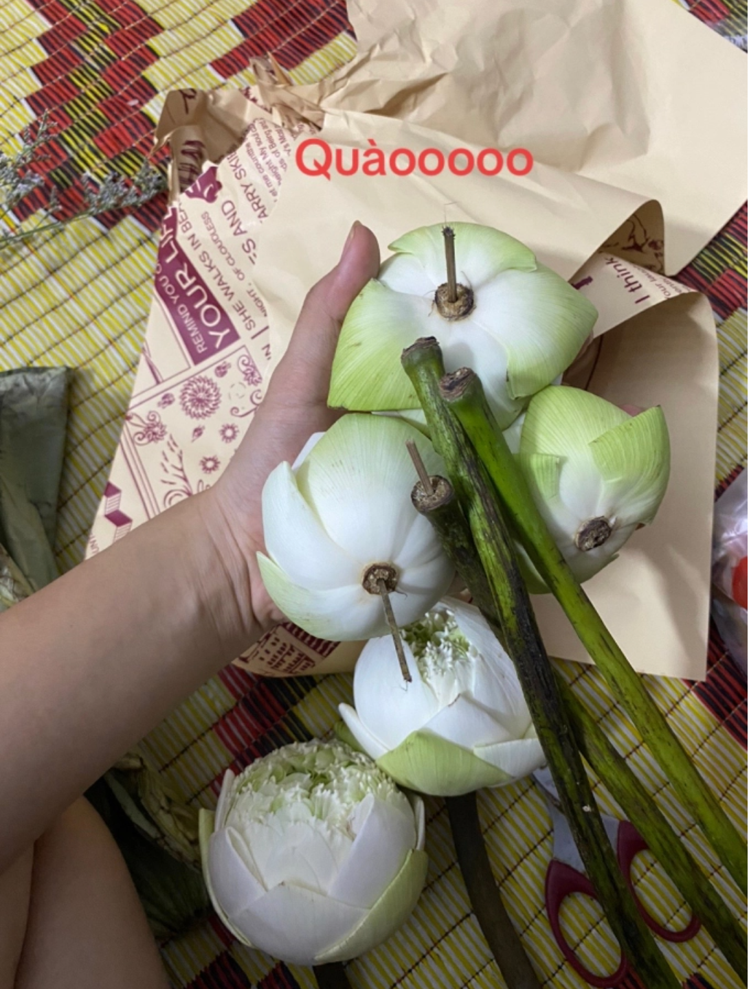 Sau khi về nhà và mang hoa ra cắm, cô gái mới tá hỏa khi phát hiện những bông sen mà mình mua có những dấu hiệu bất thường.