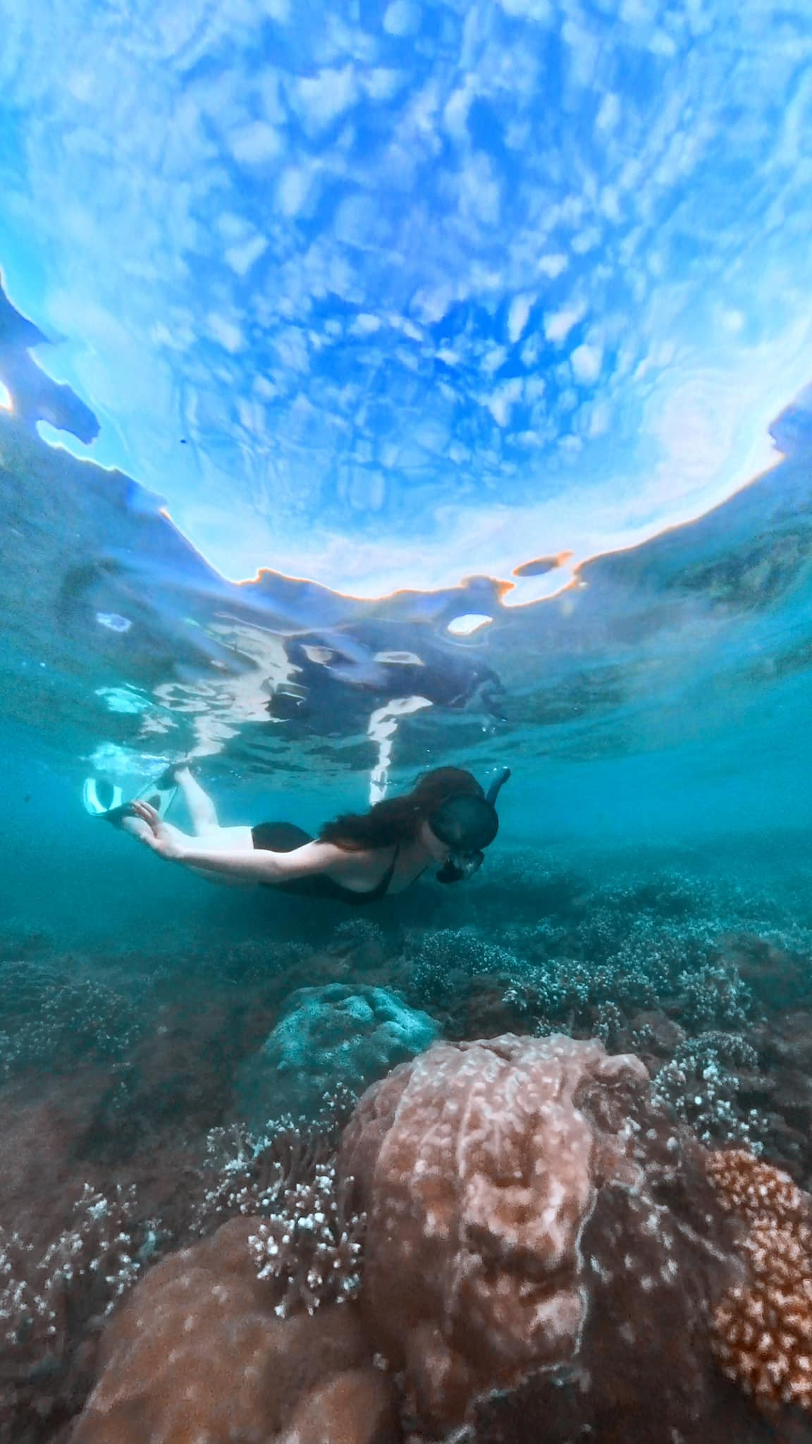 Với chiều cao 1m75 cùng số đo chuẩn chỉnh, Nam Phương nhận về mưa lời khen.